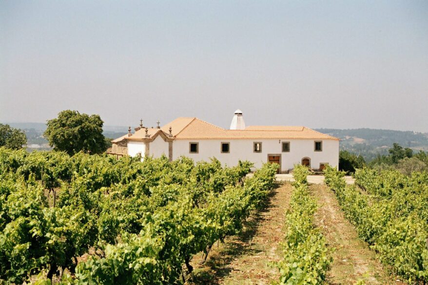 Imagen de la bodega Casa da Pellada y sus viñedos