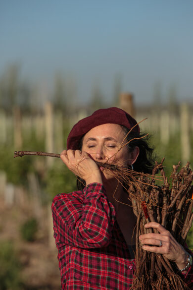 Laura besando los sarmientos de una cepa vieja.