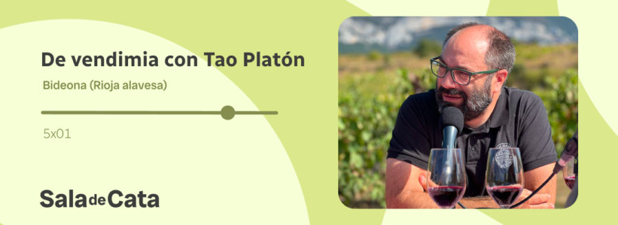 De vendimia con Tao Platón en ‘Sala de Cata’