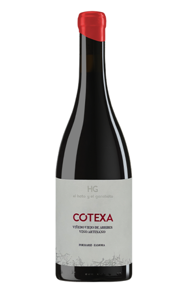 Cotexa