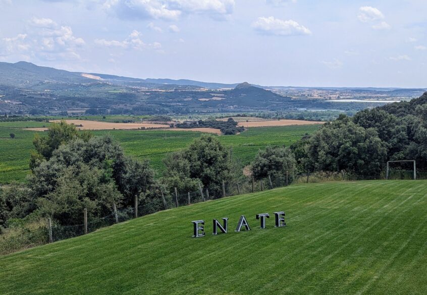 Una de las viñas más históricas de Enate