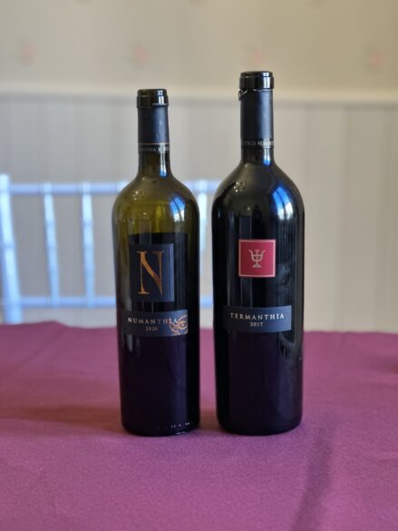 Botellas de Numanthia y Termanthia