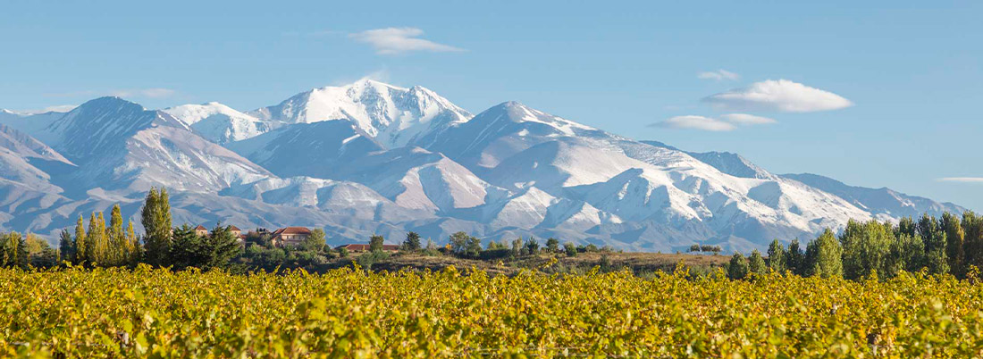 La nueva era de los vinos argentinos 
