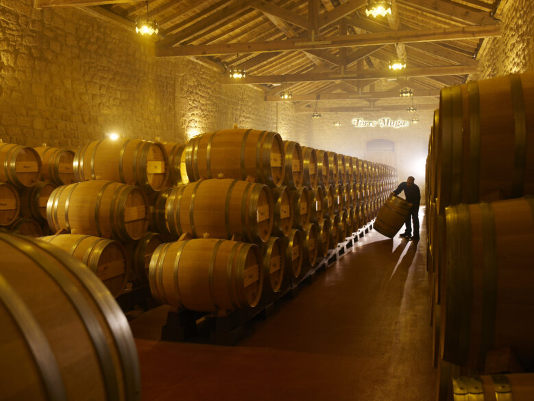 Nave de Barricas Torre Muga, en Haro (Rioja Alta). 