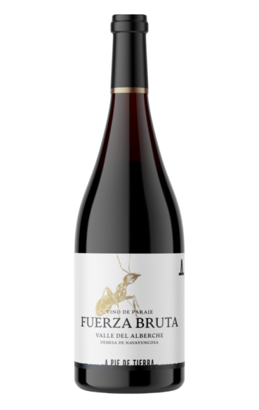 Botella de Fuerza Bruta