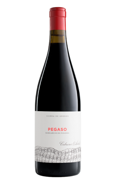 Botella de Pegaso Pizarra