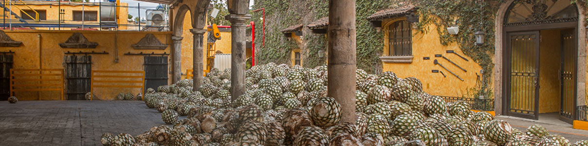 Productor: Tequila 1800