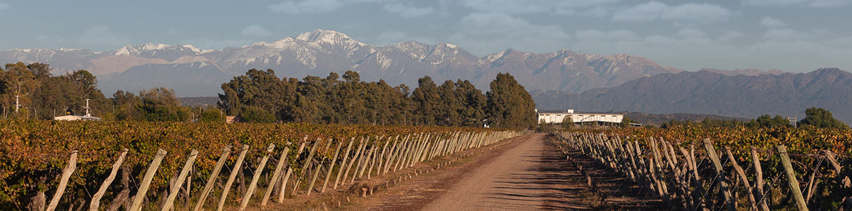 Productor: Agostino Wine Group