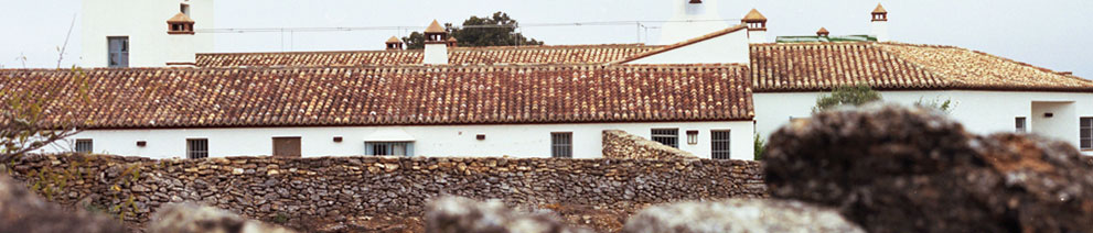 Productor: Cortijo Los Aguilares