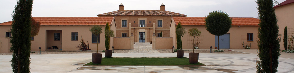 Productor: Viñedos Alonso del Yerro