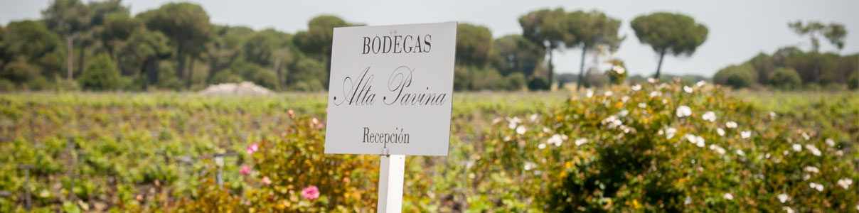 Productor: Bodega Alta Pavina