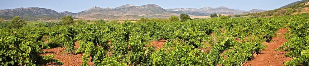 Productor: Alto Moncayo 