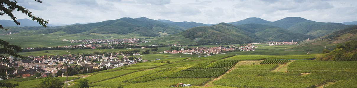 Productor: Domaine Amélie & Charles Sparr