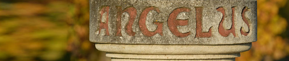 Productor: Château Angélus