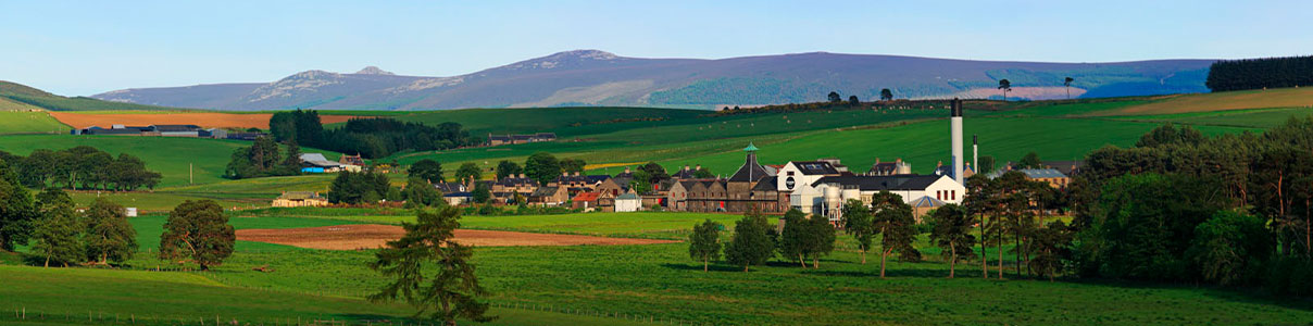 Productor: Ardmore Distillery