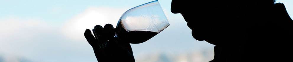 Productor: Bodegas y viñedos Artadi