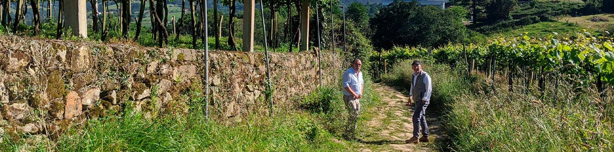 Productor: Bodega Izar Leku