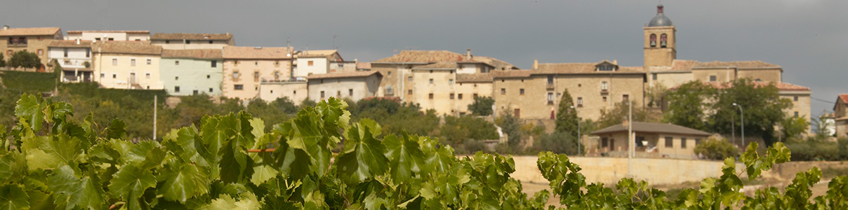 Productor: Bodegas y Viñedos Artazu