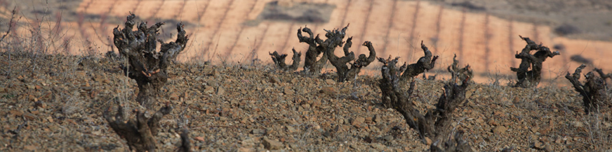 Productor: Ateca