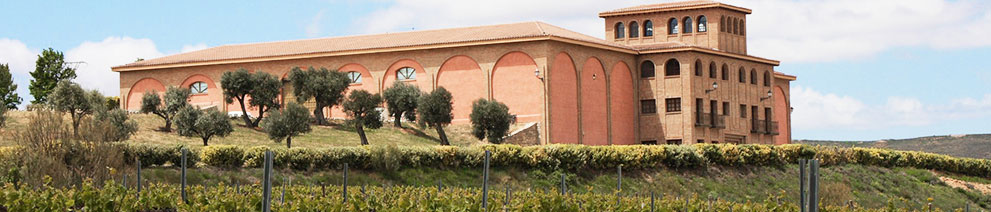 Productor: Pago de Aylés