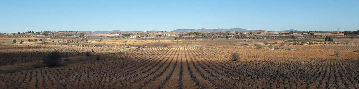 Productor: Compañia Vitivinícola del Mediterráneo