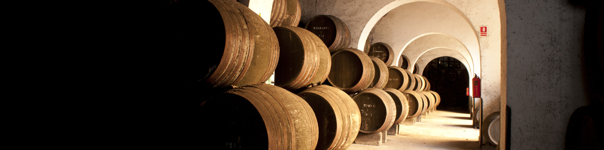 Productor: Bodegas Barbadillo