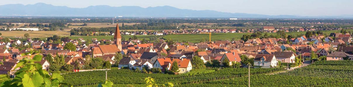 Productor: Domaine Barmès-Buecher