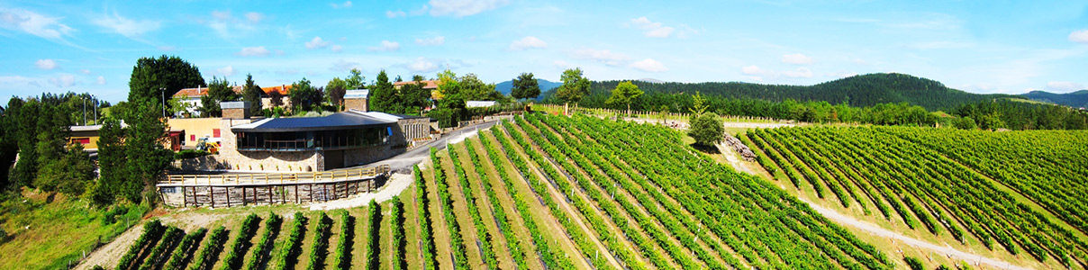 Productor: Bodega Berroja