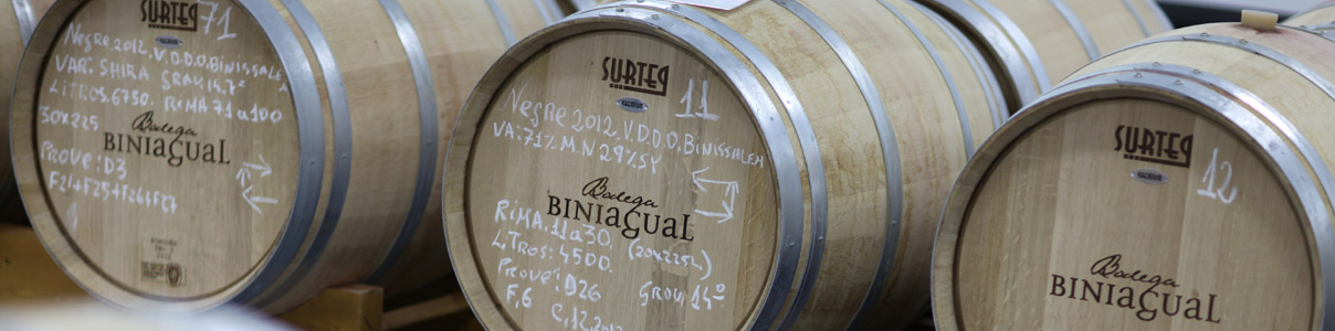 Productor: Finca Biniagual