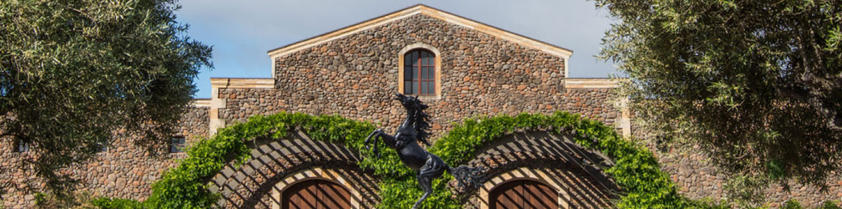 Productor: Black Stallion Estate Winery