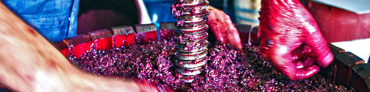 Productor: Bodegas Cerrón