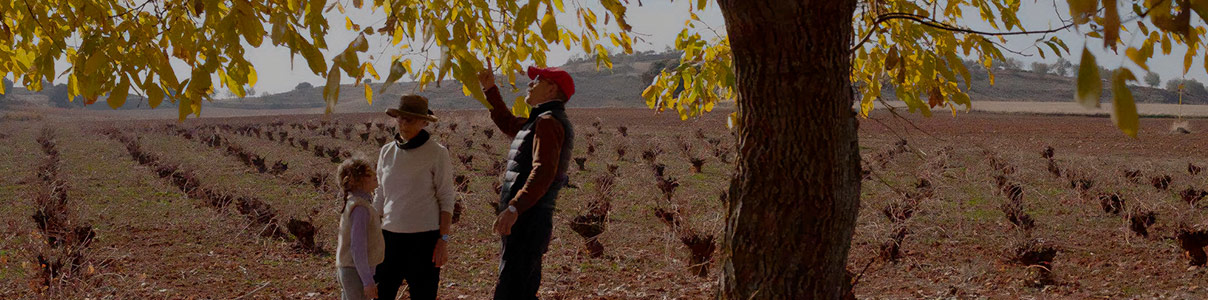 Productor: Bodega La Era
