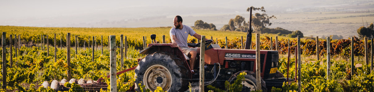 Productor: Boschkloof Wines