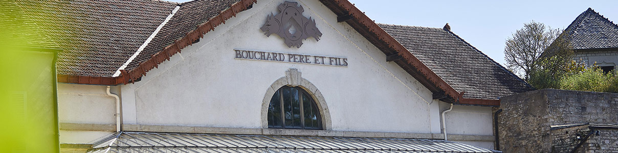 Productor: Bouchard Père et Fils