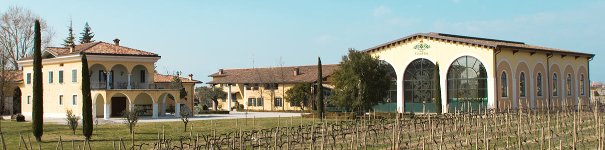Productor: Cà dei Frati