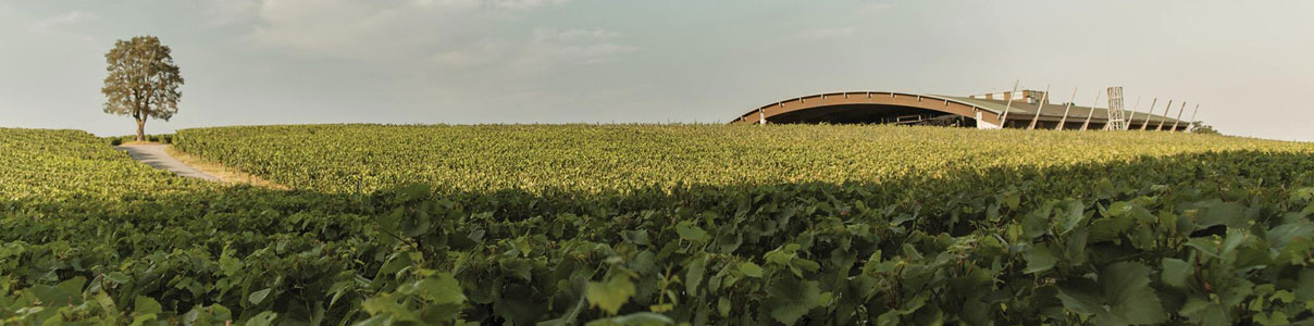 Productor: Ca' del Bosco