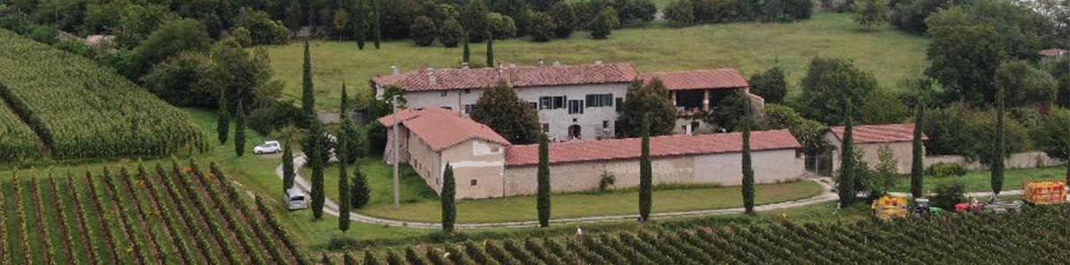 Productor: Ca' de Pazzi