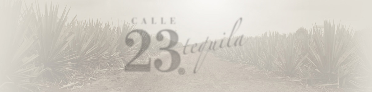 Productor: Calle 23