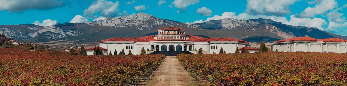 Productor: Bodegas Campillo