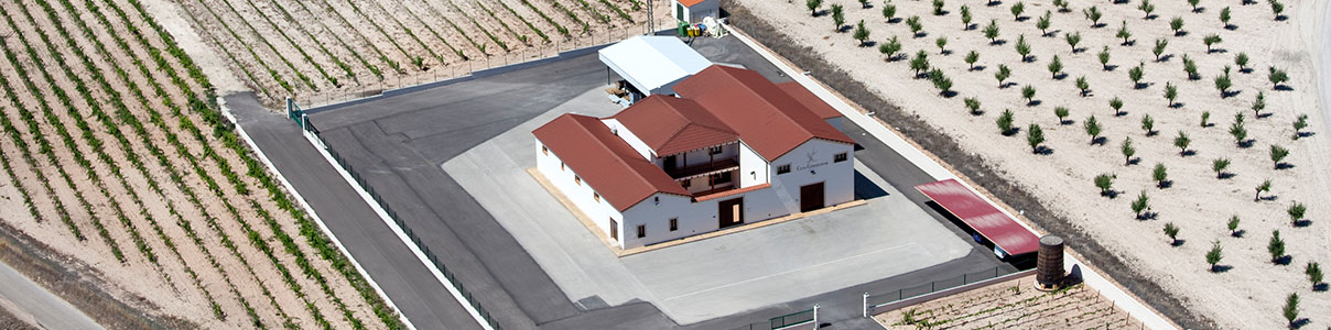 Productor: Bodegas Casa Corredor