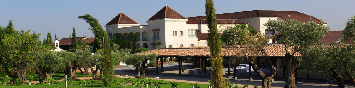 Productor: Bodegas y Viñedos Casa del Valle