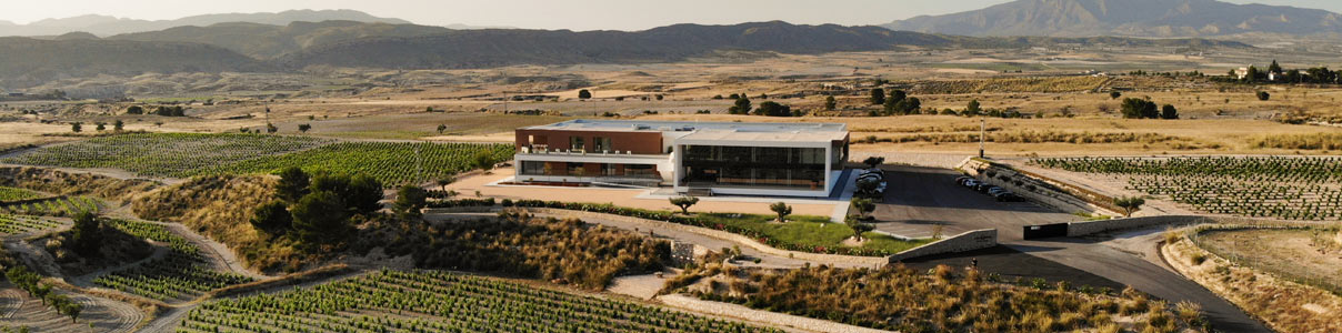 Productor: Casa Rojo