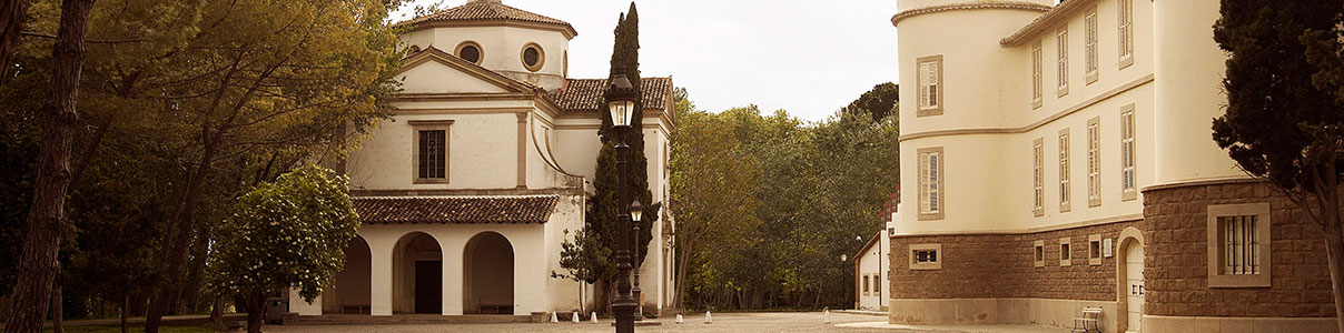 Productor: Bodega Castell del Remei