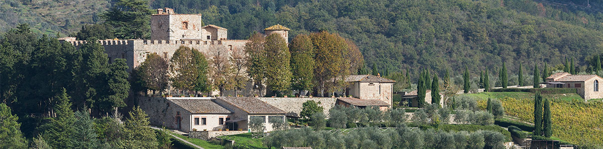 Productor: Castello di Meleto