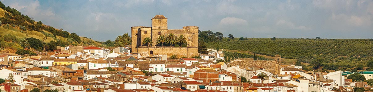 Productor: Castillo de Canena