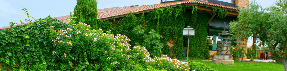 Productor: Celler Melis