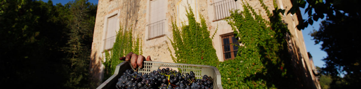 Productor: Celler de l'Era
