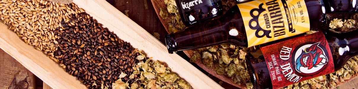 Productor: Cerveza Bizarra