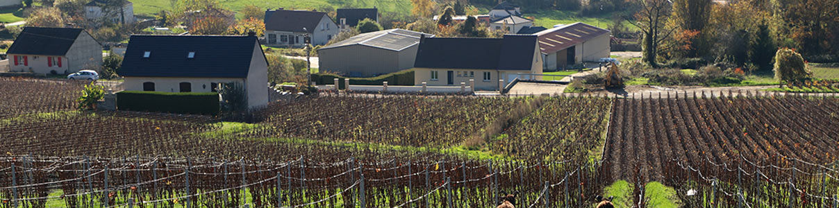 Productor: Champagne Faniel & Fils