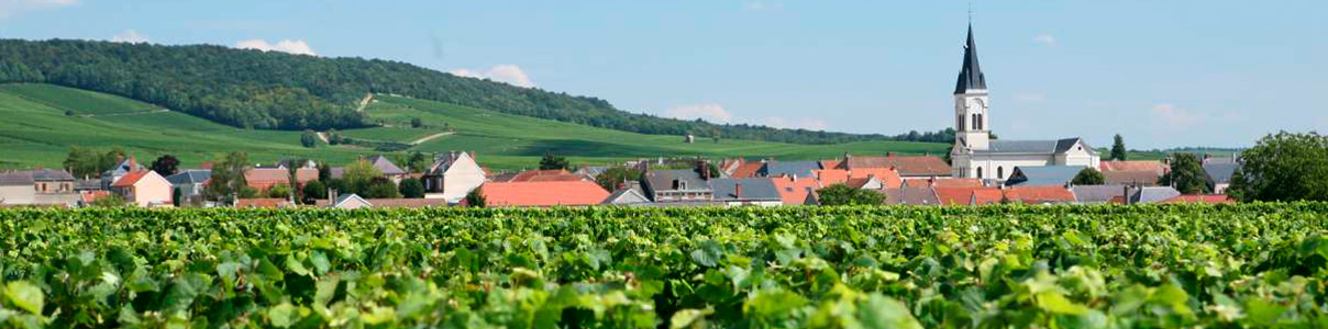 Productor: Champagne Georges Vesselle